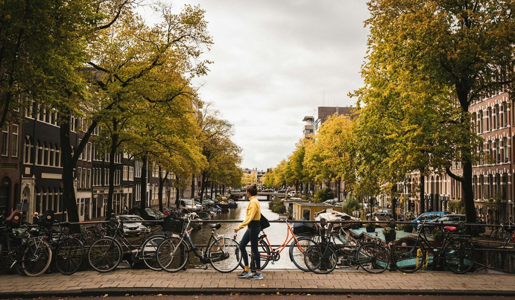 Dutch Voice Over